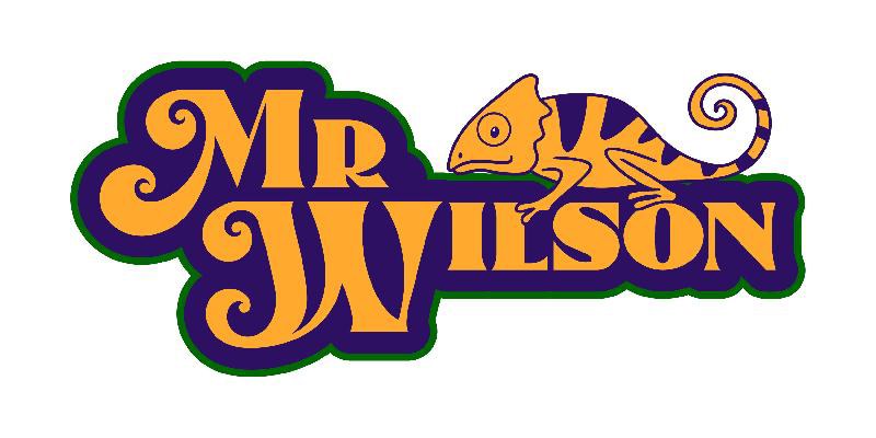 Mr. Wilson band
